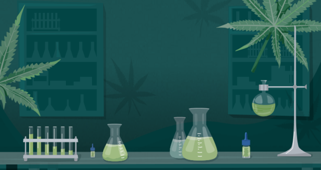 026|加拿大做什么生意好?温哥华有哪些商机?分享29个创业思路"