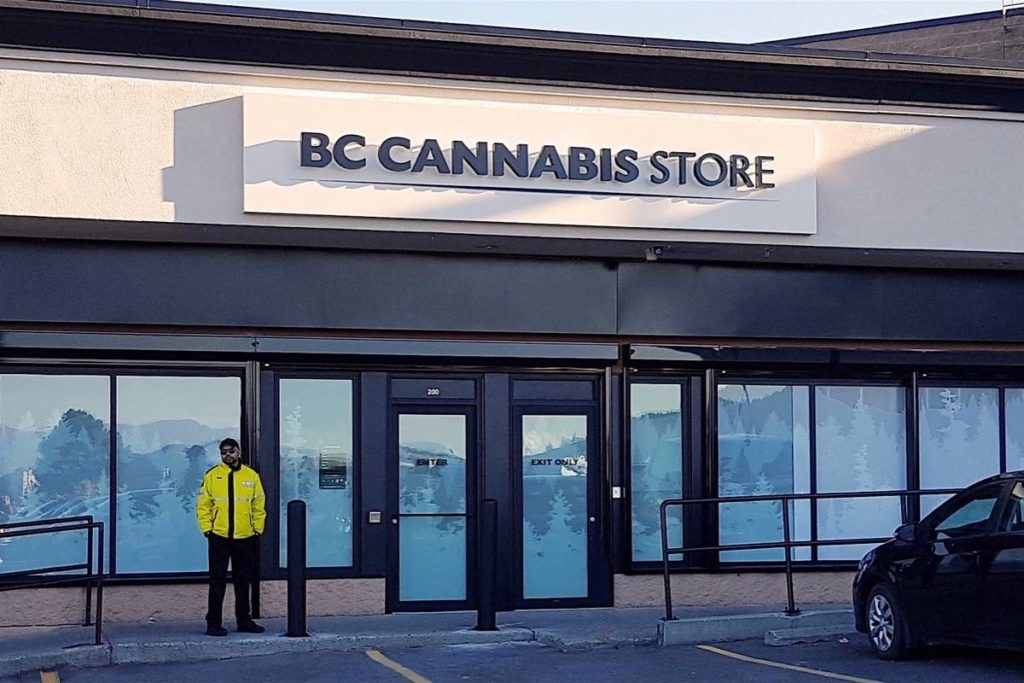 温哥华创业|揭秘如何在BC省如何开设一家年入百万的大麻店
