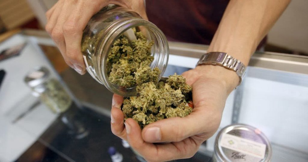 温哥华创业|揭秘如何在BC省如何开设一家年入百万的大麻店